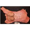 Image 1 : FOAM BLOODY CHEST WITH FAKE BREASTS