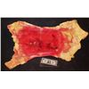 Image 2 : FOAM BLOODY CHEST WITH FAKE BREASTS