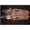 Image 1 : MUMMY ANCIENT EGYPTIAN CORPSE COMPLETE BODYSUIT COSTUME 3