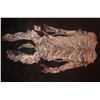 Image 2 : MUMMY ANCIENT EGYPTIAN CORPSE COMPLETE BODYSUIT COSTUME 3