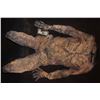 Image 1 : DEMON VAMPIRE GHOUL ALIEN CREATURE FULL BODY SUIT