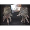 MUMMY ALIEN DEMON CREATURE WEARABLE COSTUME GLOVES 4