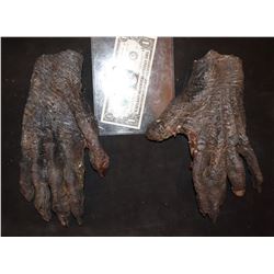 MUMMY ALIEN DEMON CREATURE WEARABLE COSTUME GLOVES 5