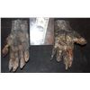 Image 2 : MUMMY ALIEN DEMON CREATURE WEARABLE COSTUME GLOVES 5