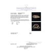 Image 5 : 14KT Tri-Color Gold 0.62 ctw Diamond Three Rings