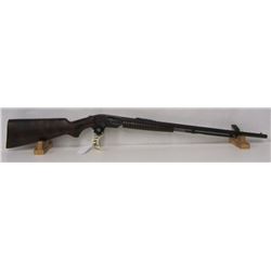 SAVAGE 1914 PUMP ACTION 22LR