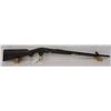 Image 1 : SAVAGE 1914 PUMP ACTION 22LR