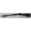 Image 2 : SAVAGE 1914 PUMP ACTION 22LR