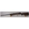 Image 2 : WINCHESTER 74 SEMI-AUTO 22 SHORT