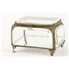 Image 2 : Victorian Jewellery Display Box