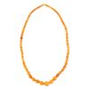 Image 1 : Baltic Amber Bead Necklace