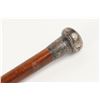 Image 10 : Sterling & Silver Topped Canes