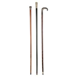 Sterling & Silver Topped Canes