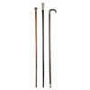 Image 1 : Sterling & Silver Topped Canes