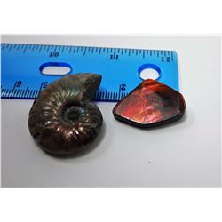 15 - NATURAL AMMONITE FOSSIL