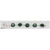 #29-CHROME DIOPSIDE GEMSTONE BRACELET