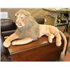 Image 1 : REALISTIC LION PLUSH ANIMAL
