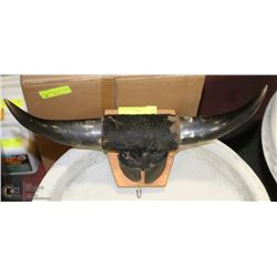 HORN AND HOOF MOUNT WALL DISPLAY