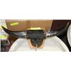 Image 1 : HORN AND HOOF MOUNT WALL DISPLAY