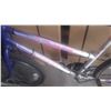 Image 2 : PURPLE GRANITE BIKE