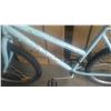 Image 2 : BLUE ARASHI BIKE