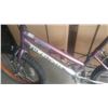 Image 2 : PURPLE TUMBLEWEED BIKE