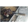 Image 1 : BRAVO 1.5TON CHAIN COME A LONG