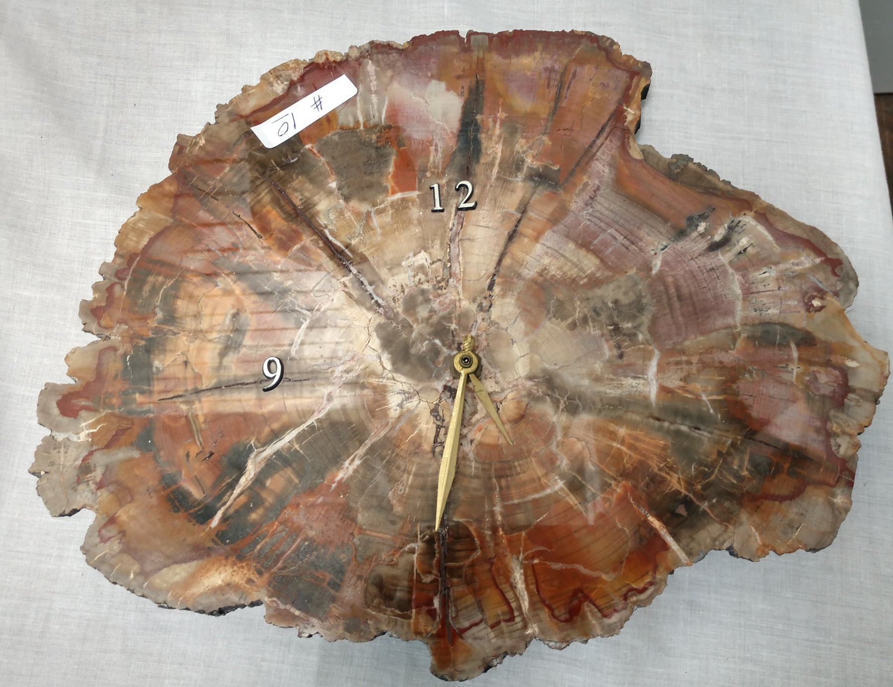 Large Polished Slab Petrified Wood