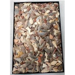 1000 Pre-Historic African Points