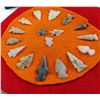 Image 3 : Texas Bird Point Collection