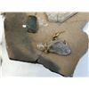 Image 8 : Pre-Columbian Pottery Items