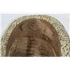 Image 8 : Large Trilobite Fossil