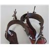 Image 10 : Old Mexican Spurs