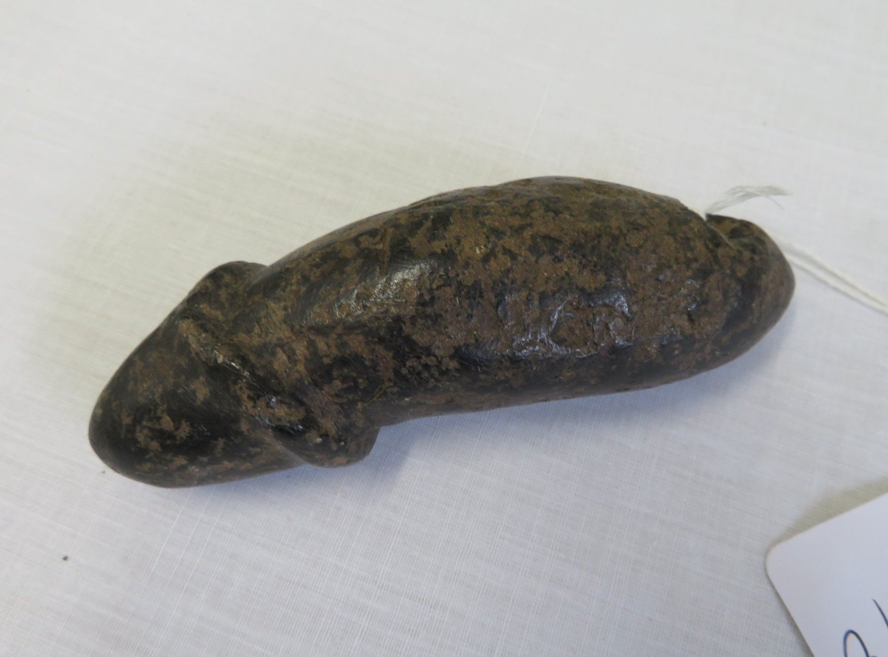 Phallic Fish Chumash Phallus Fish