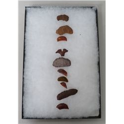 Crescent Collection