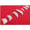 Image 8 : Quartz Nevada Crescents