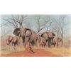 Image 4 : Martin Koch "Elephants of South Africa" Painting