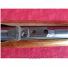 Image 22 : REMINGTON MODEL 552