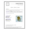Image 3 : YELLOW DIAMOND 0.76CT 14K WHITE GOLD RING