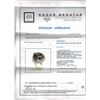 Image 6 : 23.46ct Bi-Color Tourmaline 14K White Gold Ring