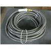 Image 1 : 50 foot Garden Hose