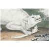 Image 5 : White American Wolf Lithographic Print