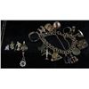 Image 6 : Lady's Charm Bracelet and Necklace