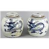 Image 1 : Pair of Chinese Porcelain Jars with Dragons