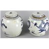 Image 2 : Pair of Chinese Porcelain Jars with Dragons