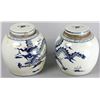 Image 3 : Pair of Chinese Porcelain Jars with Dragons