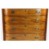 Image 4 : Early 19th C American Tiger Maple Chest