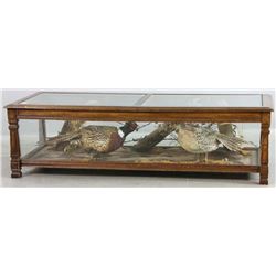 20thC Taxidermy Oak and Glass Coffee Table