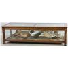Image 1 : 20thC Taxidermy Oak and Glass Coffee Table