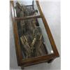 Image 5 : 20thC Taxidermy Oak and Glass Coffee Table